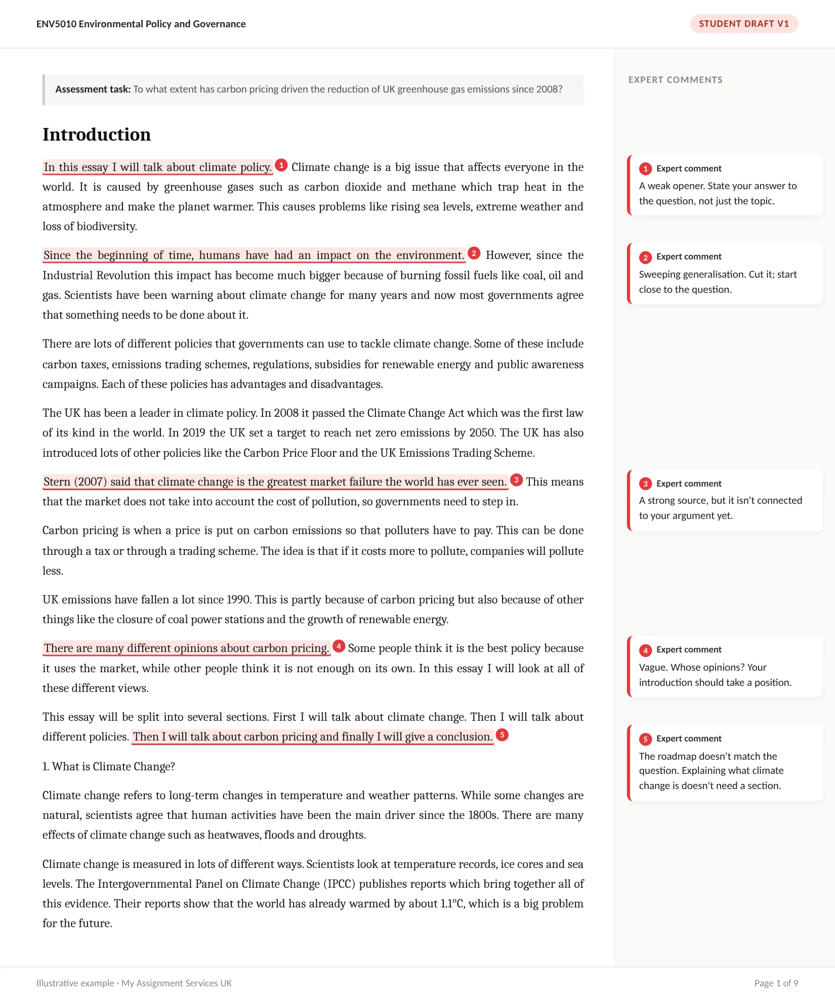 Before: student draft, Environmental policy essay, introduction, with expert comments