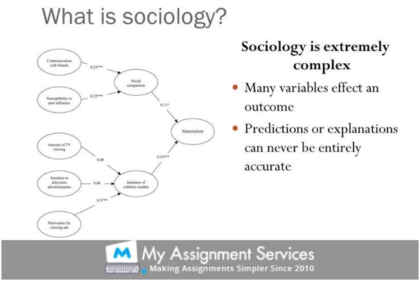 Sociology Essay Writing Service