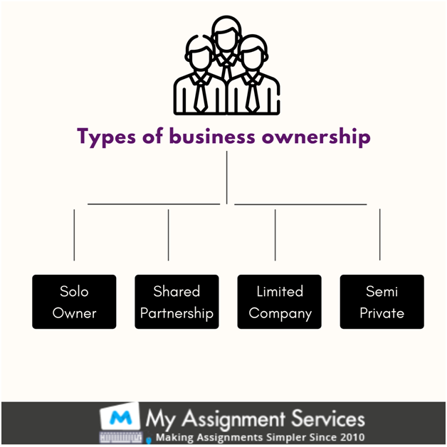 types of business ownership