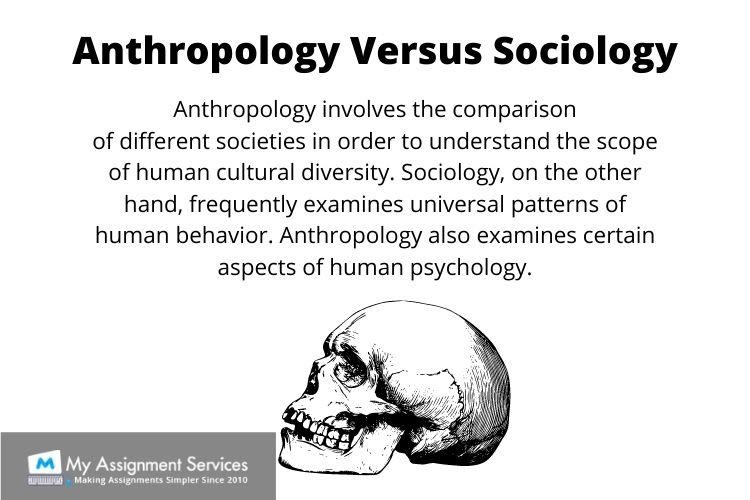 anthropology vs sociology