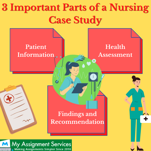 Important parts of nursing case study