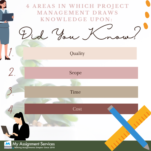 project management