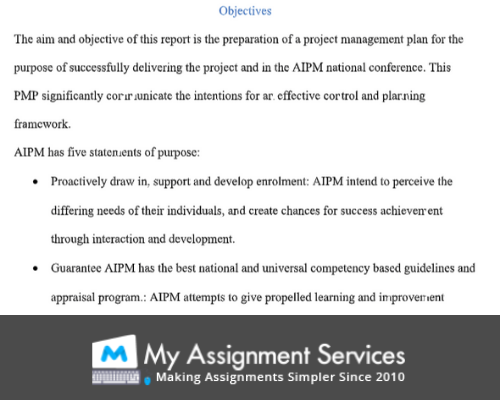 Project plan assignment help