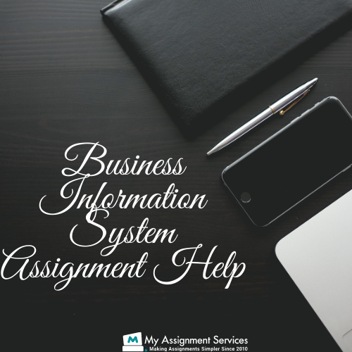 business information system assignment help