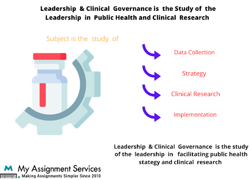 Leadership and clinical governance dissertations help service