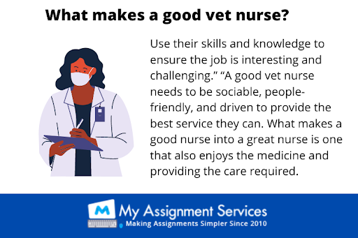 Qualities of a veterinary nurse