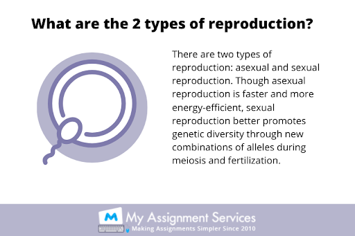 reproduction dissertation help