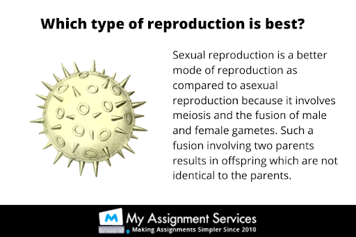 reproduction thesis help