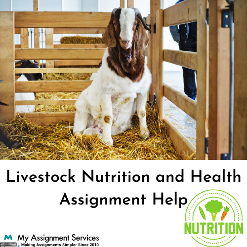 Livestock Nutrition And Health Assignment Help provided by My