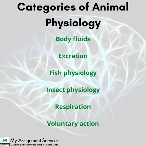 categories of animal physiology