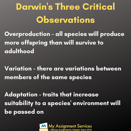 Darwin's observations