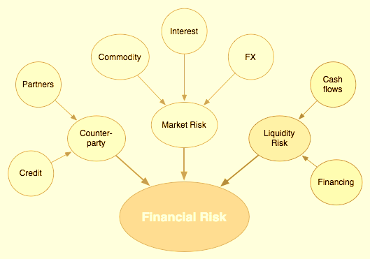 financial risk