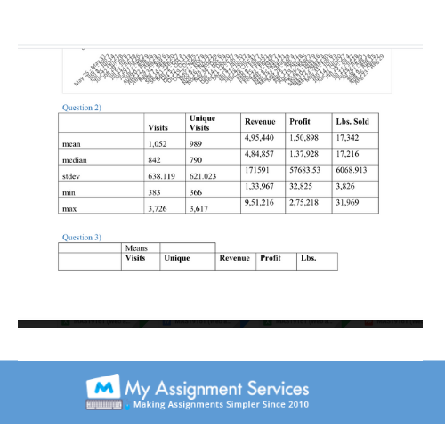 Web Analytics assignment experts