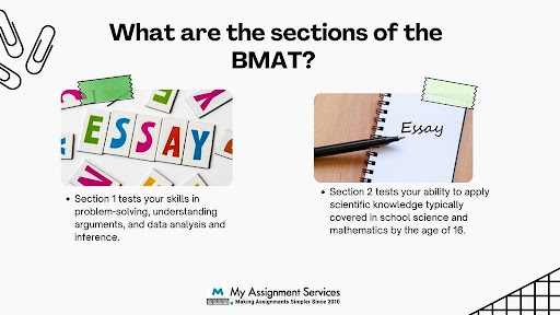 BMAT essay help