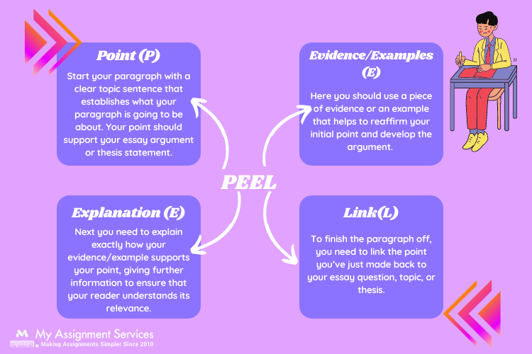 Basics of Peel Paragraph in Essay Writing