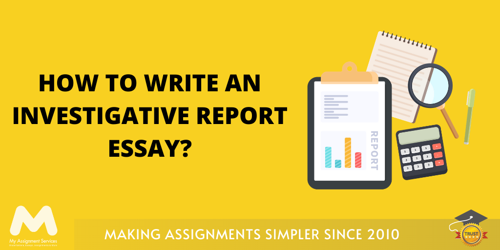 Investigative Report Essay