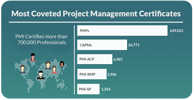 Pmp Assignment Help