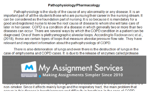 university nursing coursework assessment answer sample2