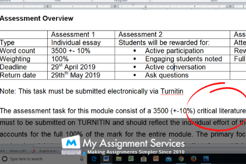 review essay task