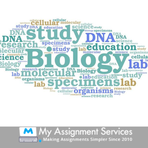 biology dissertation writing help